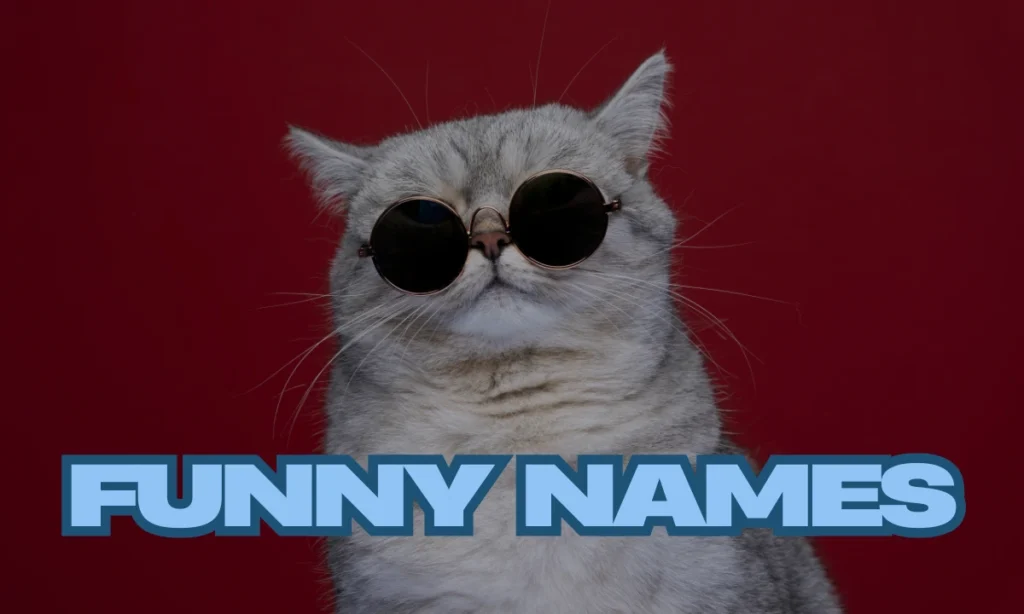 Funny Names