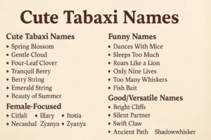 Tabaxi Names